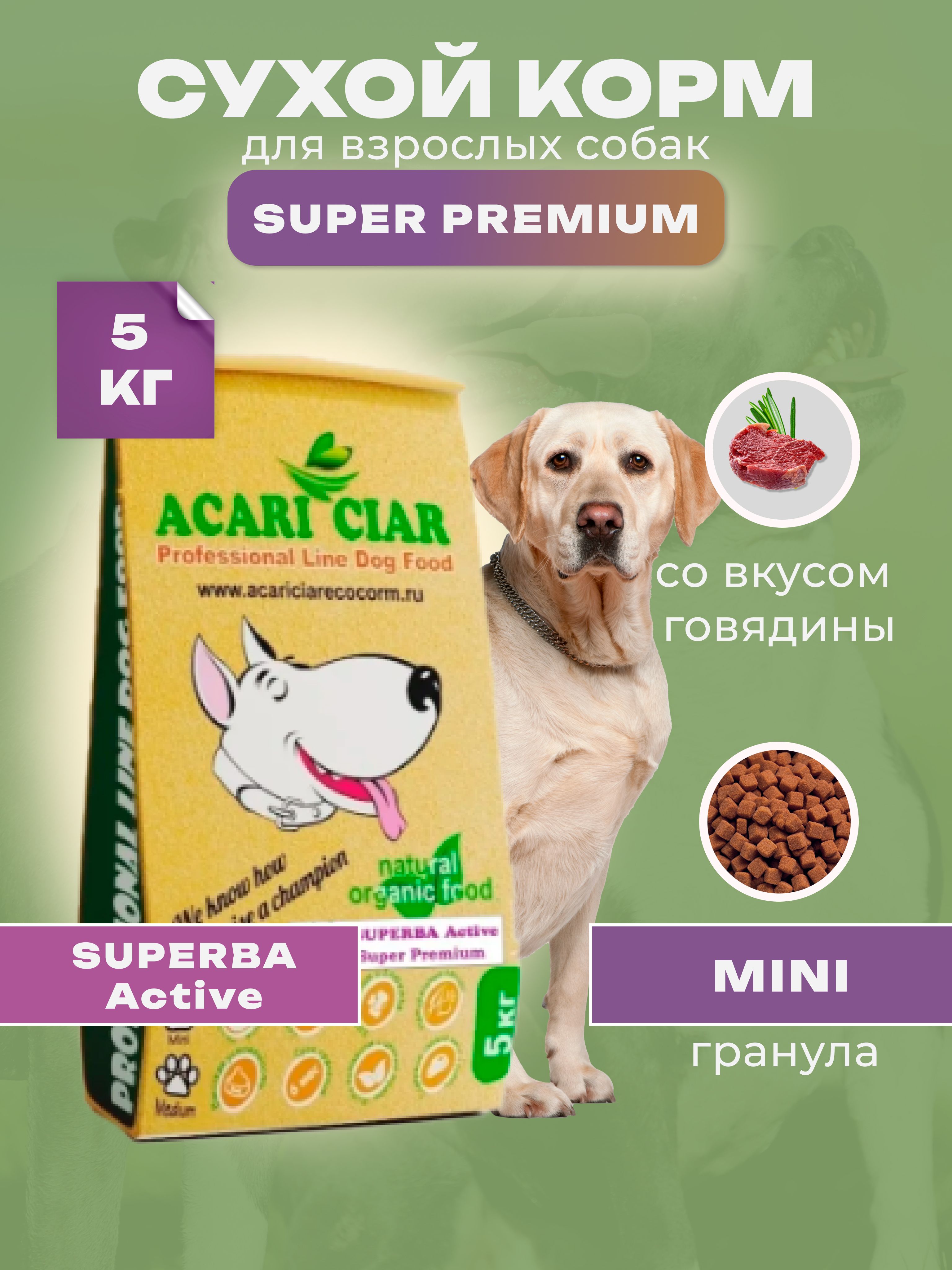 Acari Ciar Акари Киар Superba 5 кг (мини гранула) Сухой корм для собак Супер  Премиум класса - купить с доставкой по выгодным ценам в интернет-магазине  OZON (501474324)