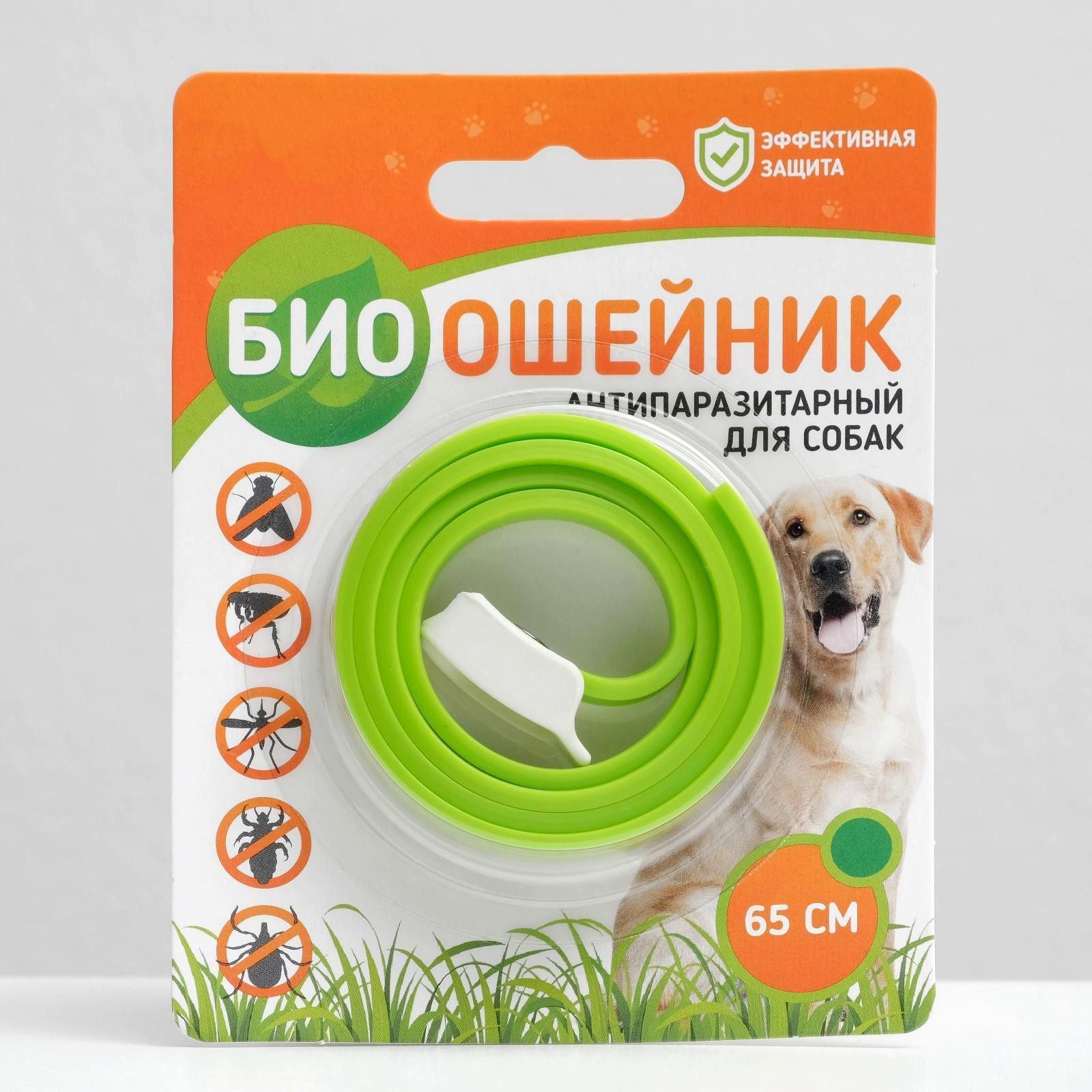 Биоошейник пижон для собак и кошек. Биоошейник антипаразитарный. Антипаразитный ошейник для кошек. Биоошейник. Био-ошейник д/кошек и мелких собак красный 35см доктор зоо.