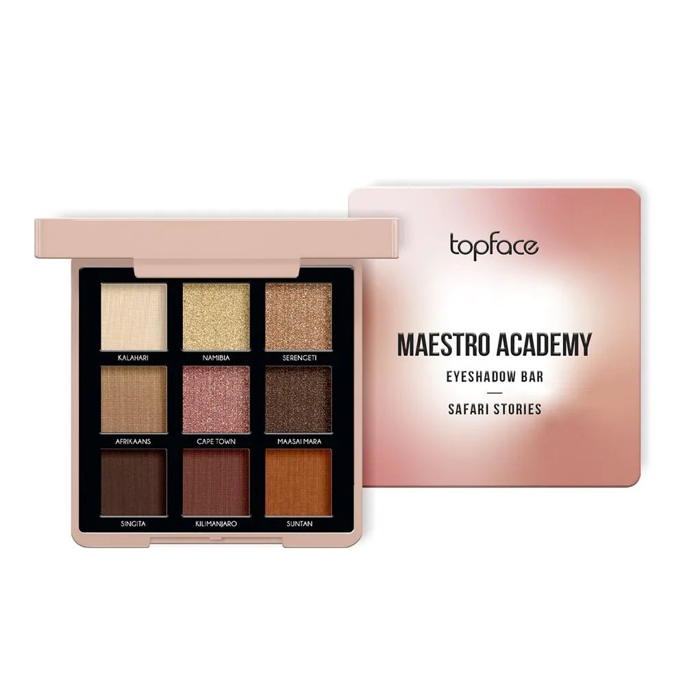 Topface maestro academy