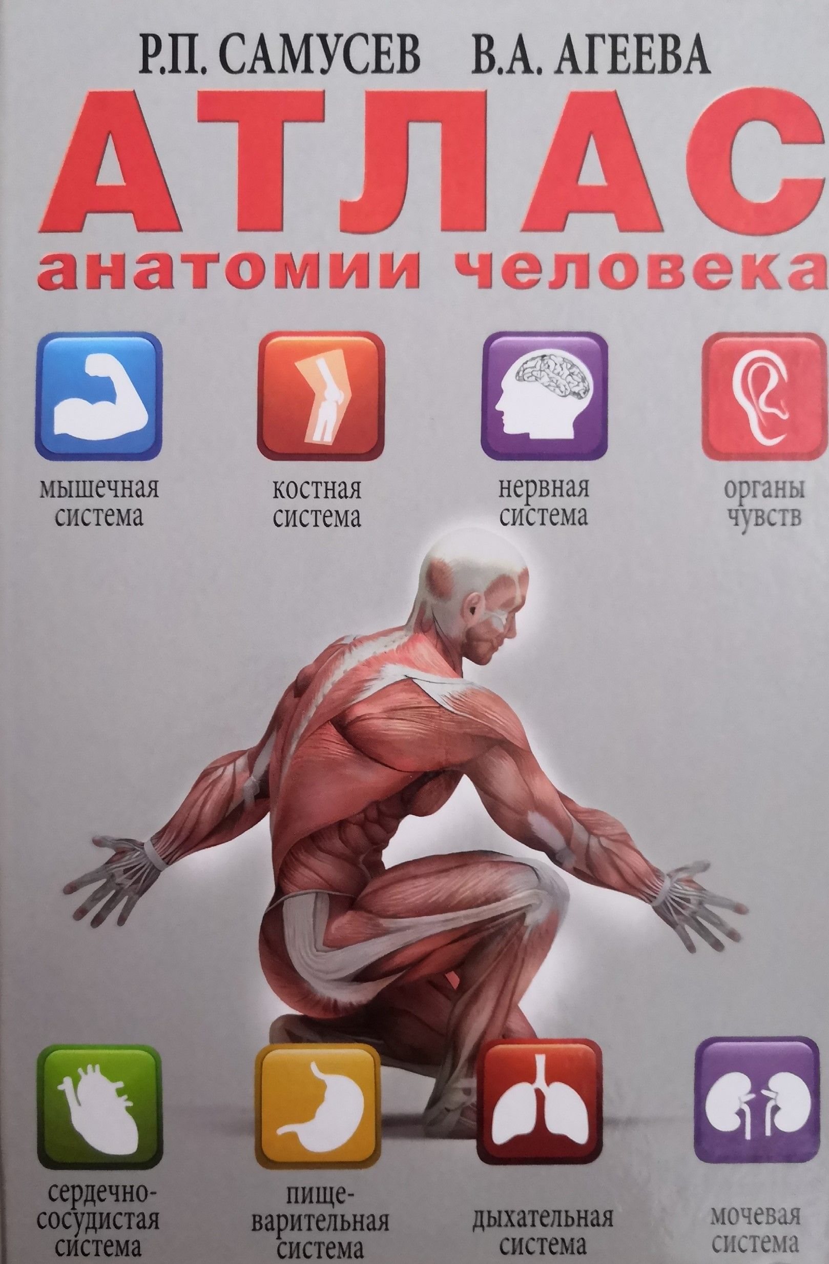 Чем отличается атлас про от атласа. Чем отличается атлас про от атласа