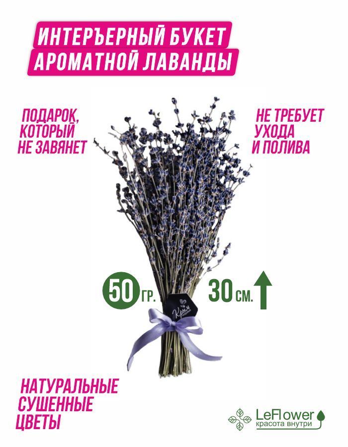 LeFlower Сухоцветы Лаванда, 30 см, 50 гр