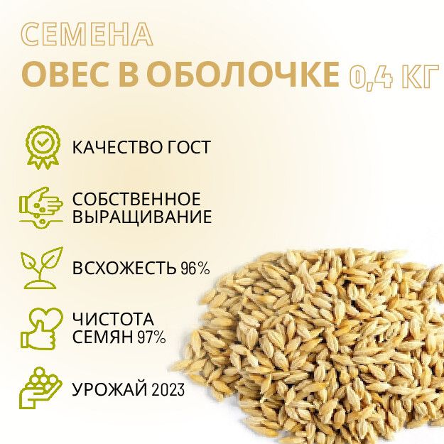 Овёс в оболочке, 400 гр/ Для заваривания, приготовления настоев, проращивания/ Для микрозелени