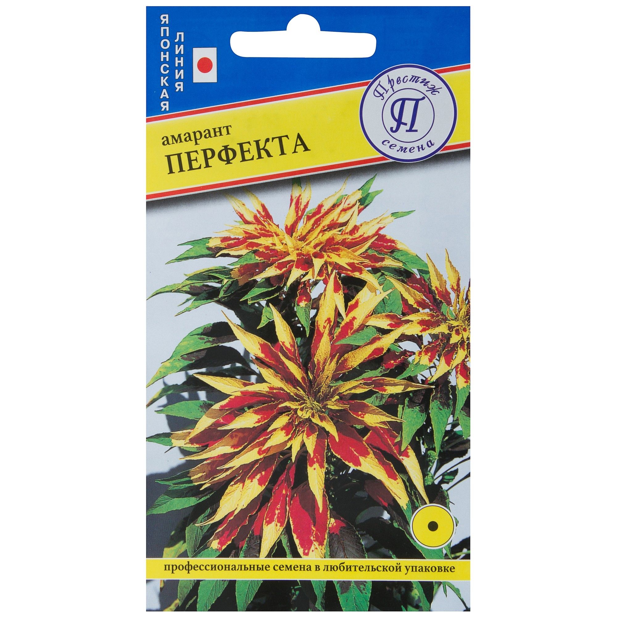 Амарант трехцветный бразильский карнавал. Перфекта цветок. Перфекта цветок. Скабиоза перфекта. Амарант трехцветный иллюминация.