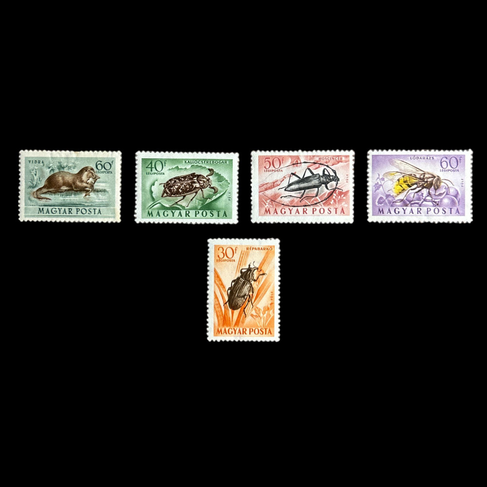 Набор почтовых марок "Жуки и выдра" фауна. Венгрия 1954 год. 5 штук  #1