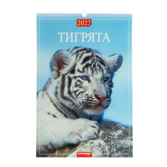 Новые Животные 2022 Года Новые Животные 2022 Года