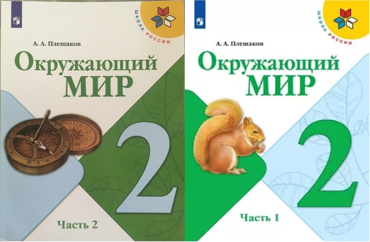 Аттестационная работа. Эссе. Проектная и исследовательская деятельность учащихся