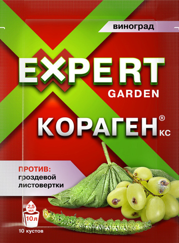 Виноград И Сад Интернет Магазин Курск