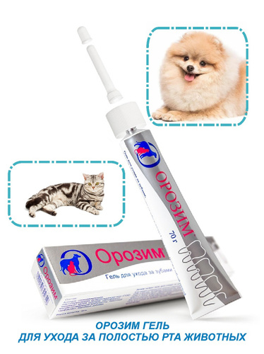 639 отзывов на Орозим гель для ухода за зубами, для животных Orozyme, 70  гр, Гель для гигиены полости рта собак, кошек от покупателей OZON
