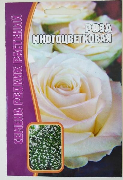 Розы Дельфиниум Гигантская смесь + Летний танец_Роза многоцветковая ...