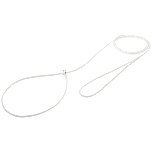 Поводок-удавка с кольцом круглый 3мм*200см (БЕЛЫЙ) - купить с доставкой ...