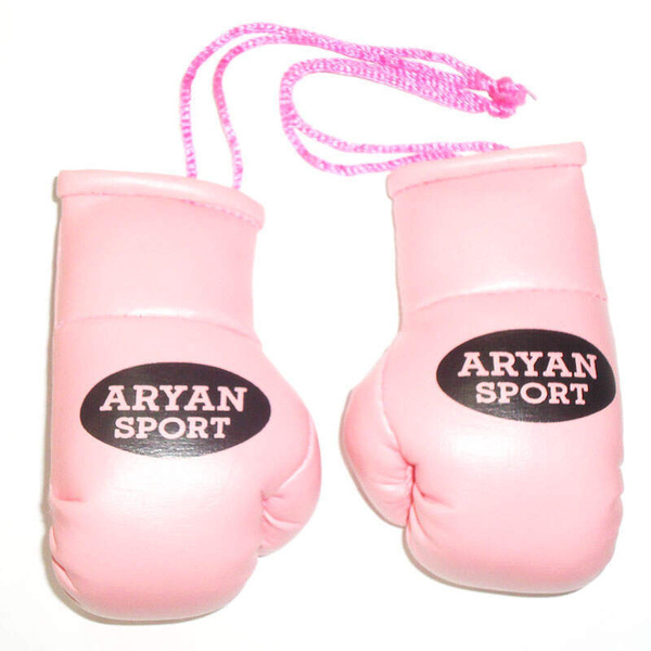 Боксерские перчатки Aryan Sport сувенир перчатки бокс в машину - купить ...