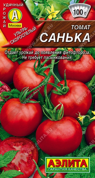 Томат Санька Купить Семена