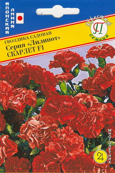 Гвоздики многолетние Престиж семена 275392-1 - купить по выгодным ценам ...