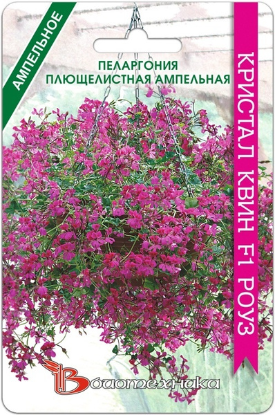Пеларгонии (Герань) Биотехника Пеларгония плющелистная ампельная ...