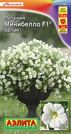 Петунии Агрофирма Аэлита 46-PETUNIA_белый_Минибелло F1 белая - купить ...