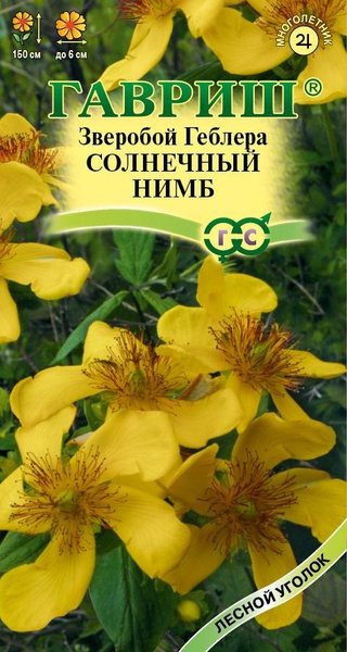 Зверобой, Лекарственные травы Гавриш Зверобой Геблера Солнечный нимб (0 ...