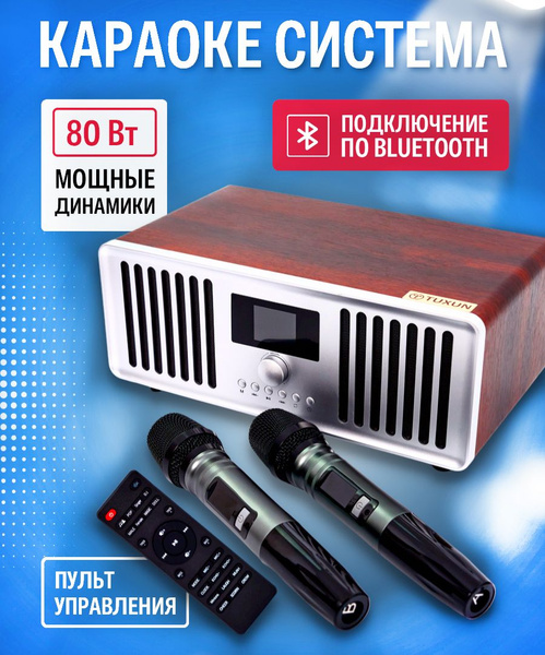 Караоке система с двумя микрофонами Tuxun MusicBox - купить с доставкой ...