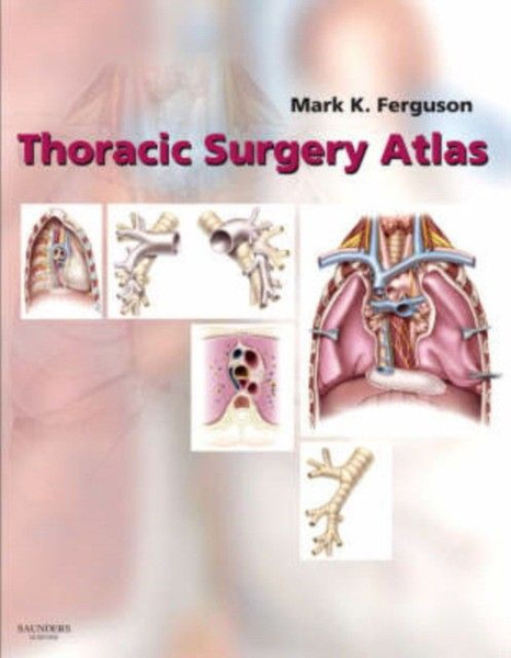 Thorax visual data 6