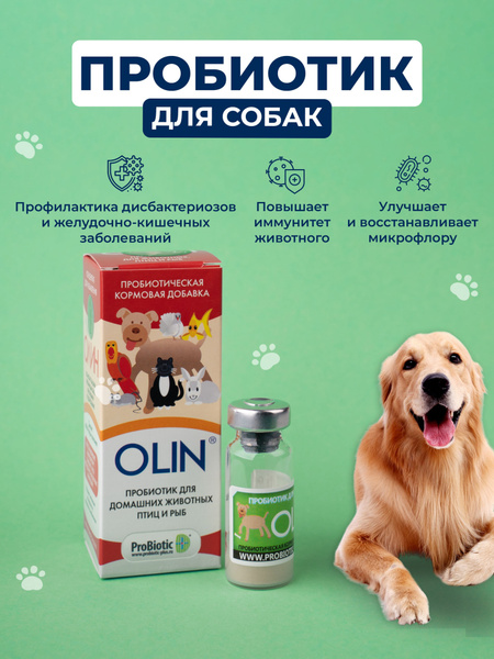OLIN (ОЛИН) Пробиотик, кормовая добавка для повышения иммунитета, при ...