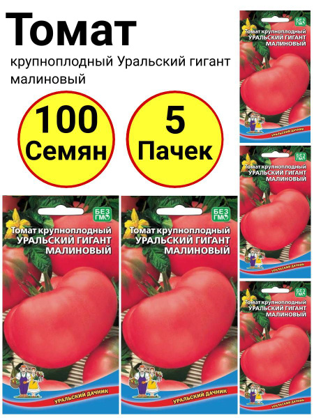 Томаты Уральский дачник Томат крупноплодный Уральский гигант малиновый ...