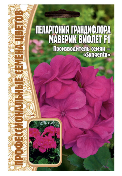 Пеларгонии (Герань) Григорьев Пеларгония Грандифлора Маверик Виолет F1 ...