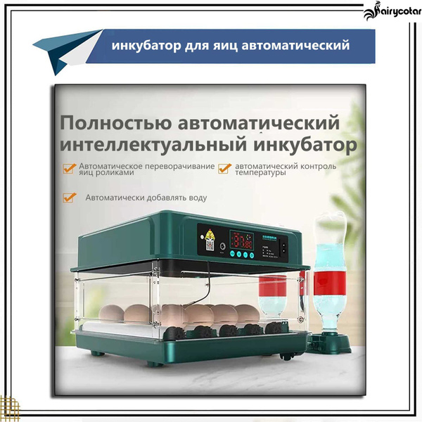 15 мини инкубатор для яиц автоматический 220B/12B - купить с доставкой ...