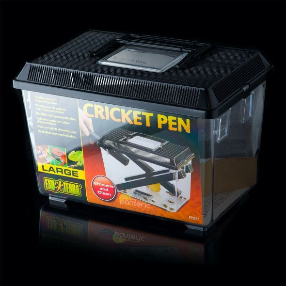 Контейнер для сверчков Exo-Terra Cricket Pen, Large - купить с доставкой по  выгодным ценам в интернет-магазине OZON (566596810)