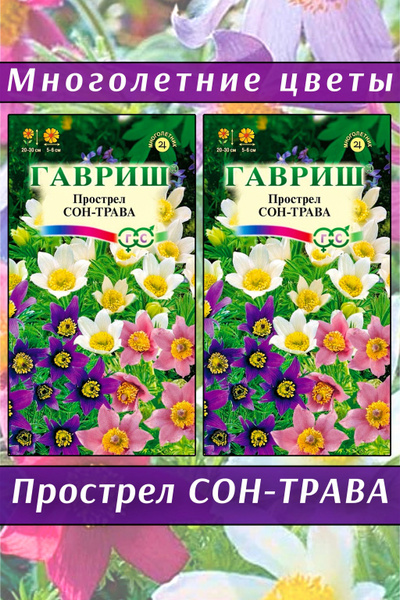Гавриш Прострел Сон-трава Многолетние цветы 2 упаковки - купить по ...