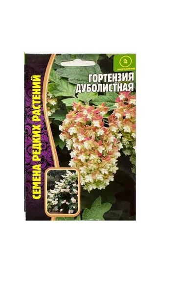 Гортензия Редкие семена НФ-00014071 - купить по выгодным ценам в ...