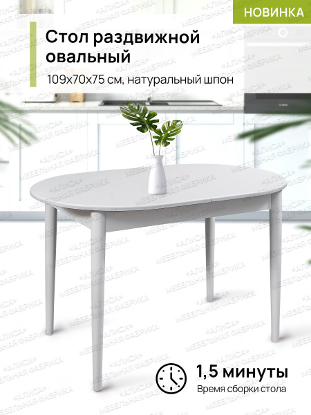 Стол обеденный Мебельная фабрика АЛИСА Раздвижной Стол кухонный ...