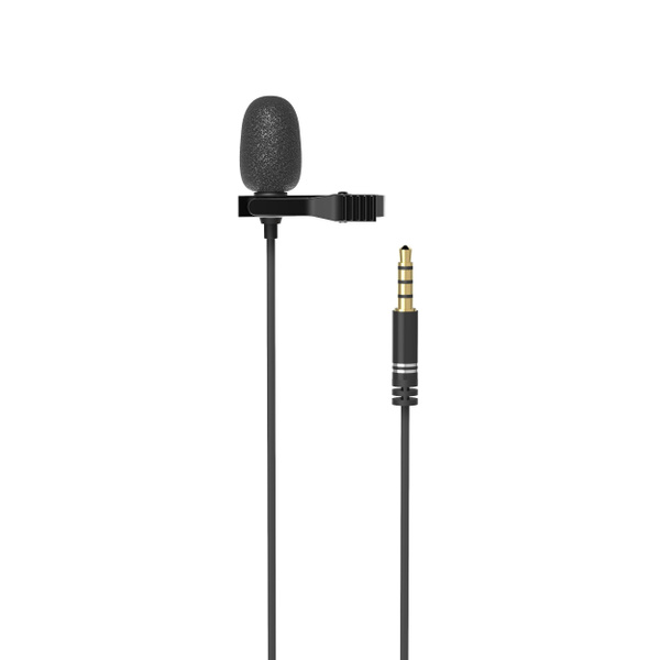 Микрофон для конференций Ritmix 1595993 - купить по выгодной цене в ...