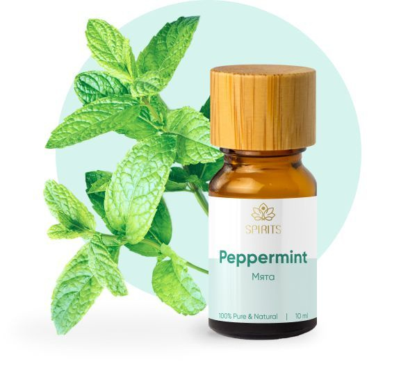 Эфирное масло, Масло для массажа, Мята перечная (Mentha piperita), 5 мл ...