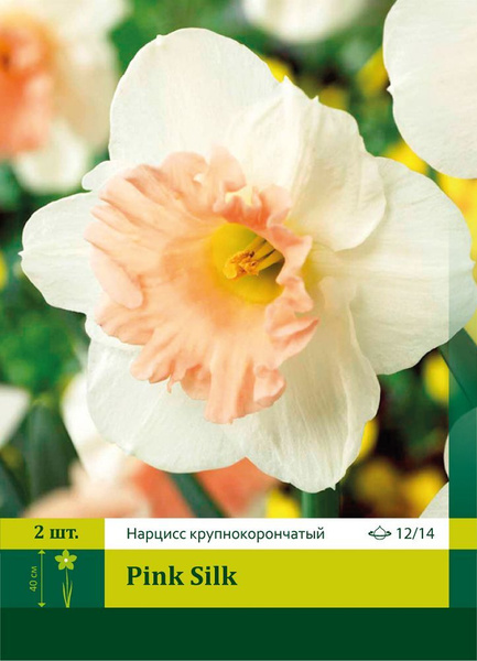 Луковицы Нарцисс ПЕТРОФЛОРА купить по выгодной цене в интернет-магазине ...