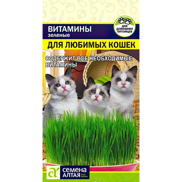 Семена Алтая для любимых Кошек - купить по выгодным ценам в интернет ...