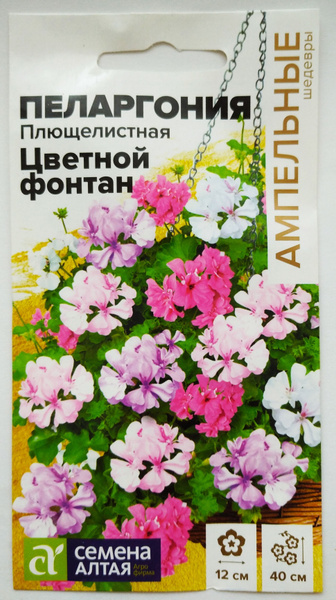 Семена Алтая Пеларгония - купить по выгодным ценам в интернет-магазине ...