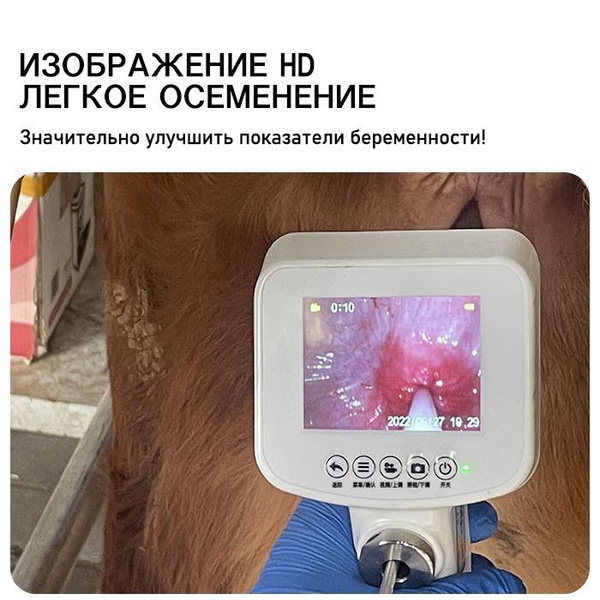 Инструмент для искусственного осеменения молочных коров Визуальный ...