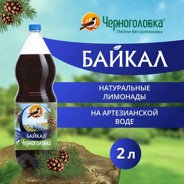 Газированный напиток Черноголовка Байкал ПЭТ (2л*6шт) - купить с ...