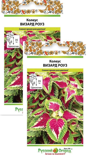 Колеусы НК-Русский огород Колеус Визард Роуз (10 семян), 2 пакета ...