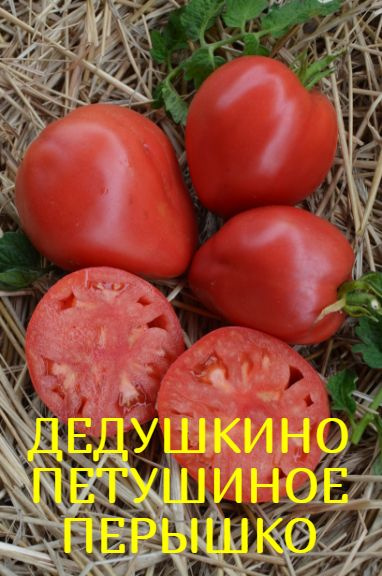 Томаты_1_Дедушкино петушиное пёрышко - купить по выгодным ценам в ...