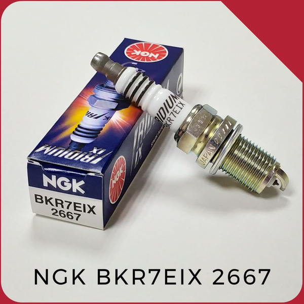 Свеча зажигания NGK 2667 - купить по выгодным ценам в интернет-магазине ...