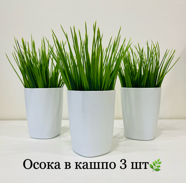 Трава в кашпо набор 3 штуки купить на OZON по низкой цене (798053149)