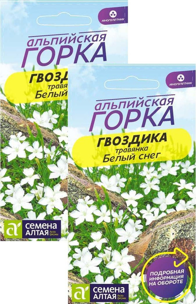 Многолетники для альпийской горки, Гвоздики многолетние Семена Алтая ...