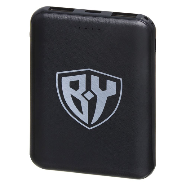 Повербанк (powerbank) (Power Bank) FORZA PLUS Forza 916 - купить по ...