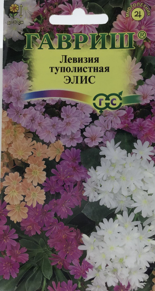 Гавриш Левизия туполистная Элис - купить по выгодным ценам в интернет ...