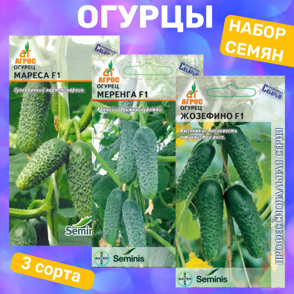 Огурцы Наборы семян овощей_3 - купить по выгодным ценам в интернет ...