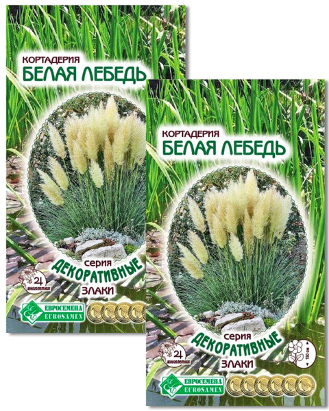 Пампасная Трава Купить Семена