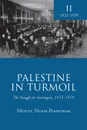 Palestine in Turmoil. The Struggle for Sovereignty, 1933-1939 (Vol. II) - Monty Noam Penkower