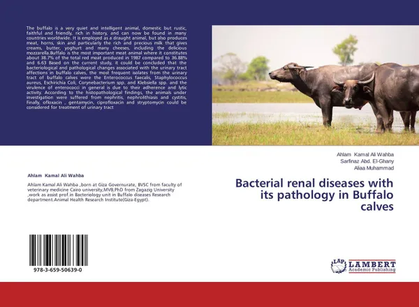 Обложка книги Bacterial renal diseases with its pathology in Buffalo calves, Ahlam Kamal Ali Wahba,Sarfinaz Abd. El-Ghany and Aliaa Muhammad