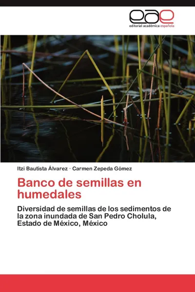 Обложка книги Banco de Semillas En Humedales, Itzi Bautista Lvarez, Carmen Zepeda G. Mez