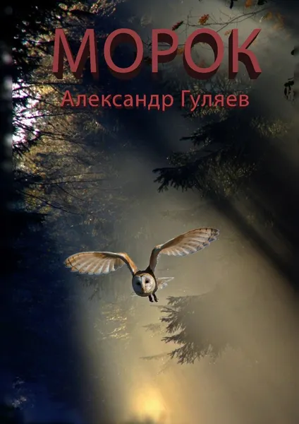 Обложка книги Морок, Александр Гуляев